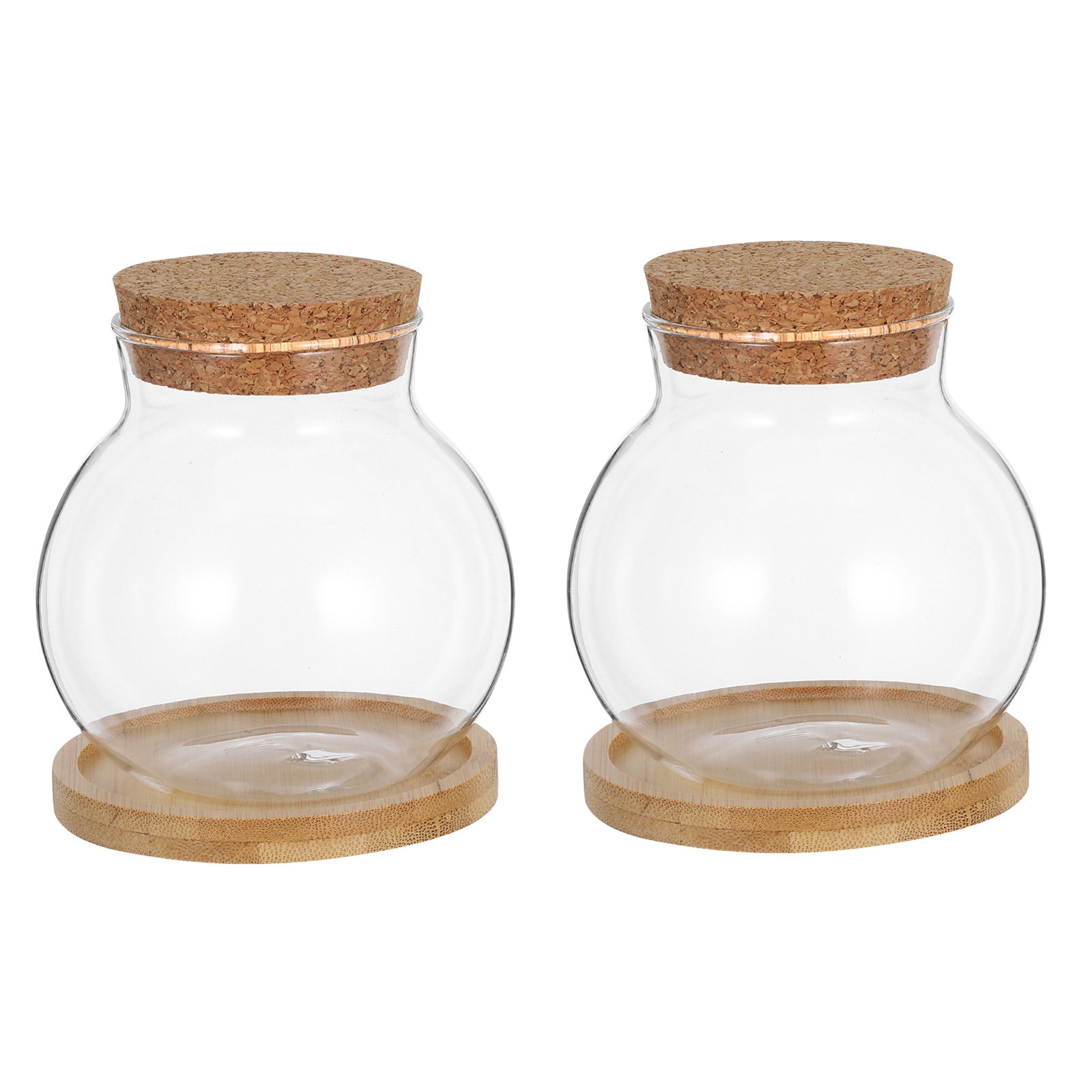 2Set Hydroponic Glass Elegant  - đánh giá và giá Propagation Station Vase