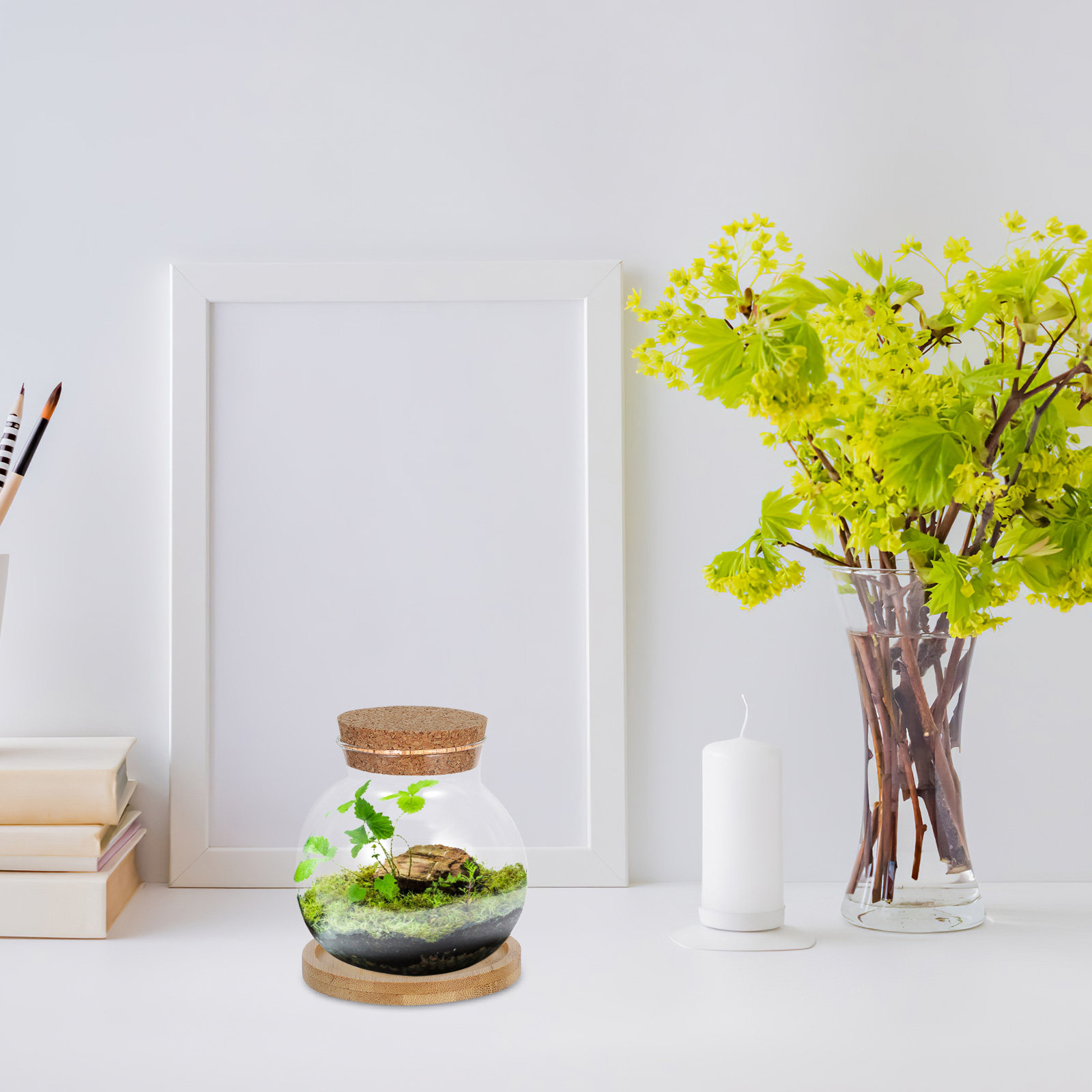 2Set Hydroponic Glass Elegant  - đánh giá và giá Propagation Station Vase
